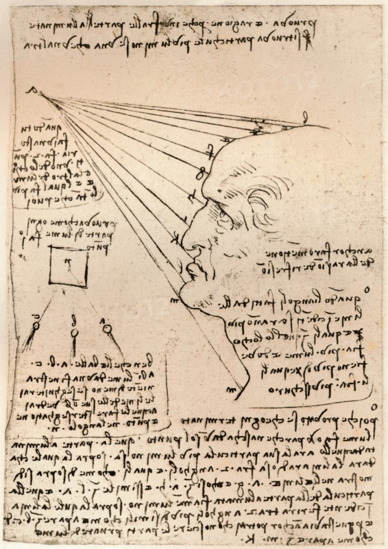 Drawing of a male head, illustrating the practice of painting, c1472-c1519 (1883). Artist: Leonardo da Vinci.