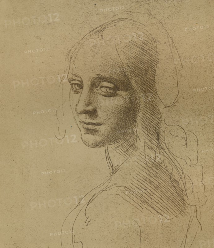 A female head, c1472-c1519 (1883), Artist: Leonardo da Vinci.