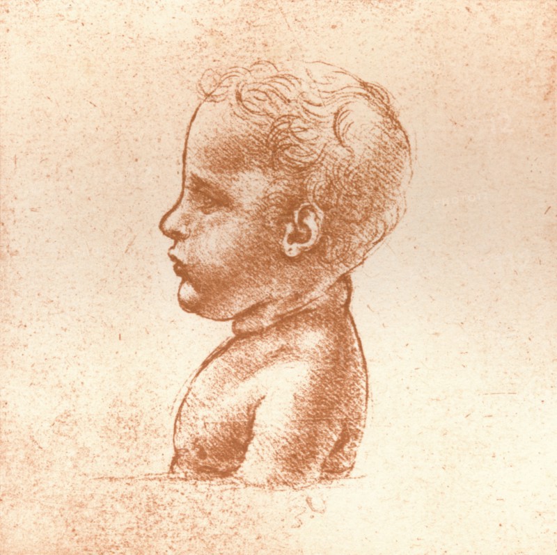 Bust of a boy, c1472-c1519 (1883). Artist: Leonardo da Vinci.