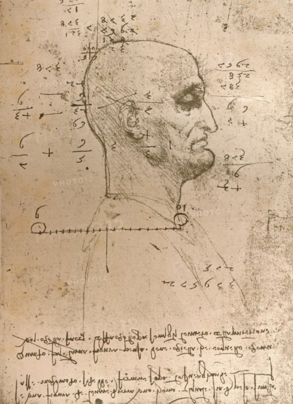 Drawing of the head of a criminal, c1472-c1519 (1883). Artist: Leonardo da Vinci.