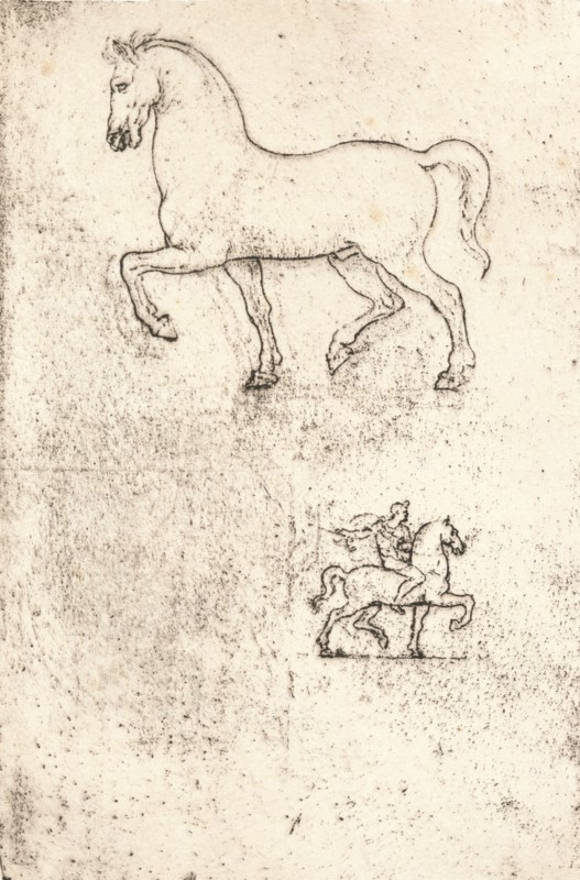 Study for the Sforza Monument, c1482-c1499 (1883). Artist: Leonardo da Vinci.