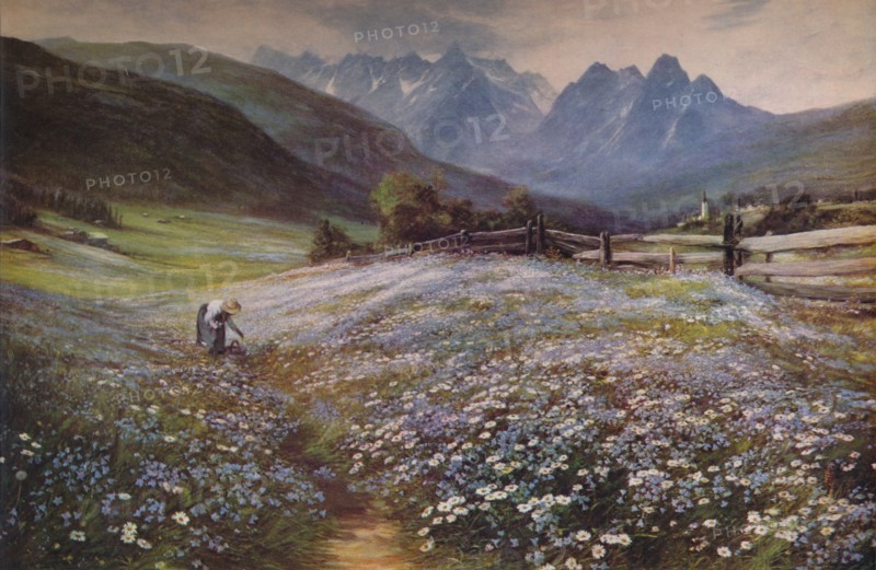 'June in the Austrian Tyrol', c1892 Artist: John MacWhirter.