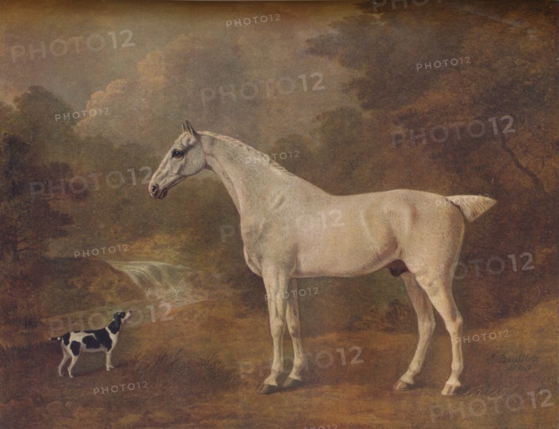 'A Flea-Bitten Grey and a Spotted Terrier', 1803.
