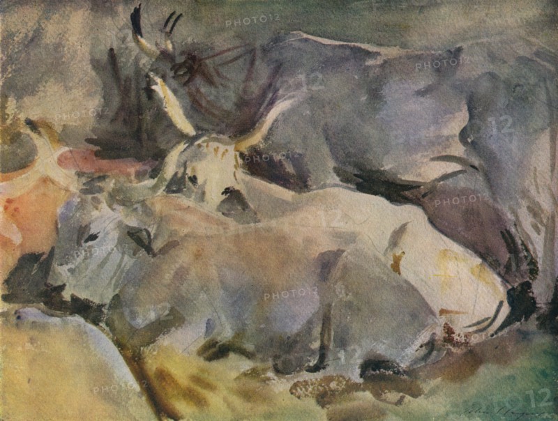 'Oxen at Siena', c1910. Artist: John Singer Sargent.