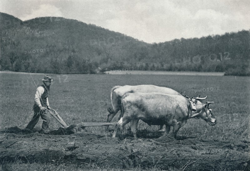 'The Ploughman', c1903. Artist: Vernon Royle.