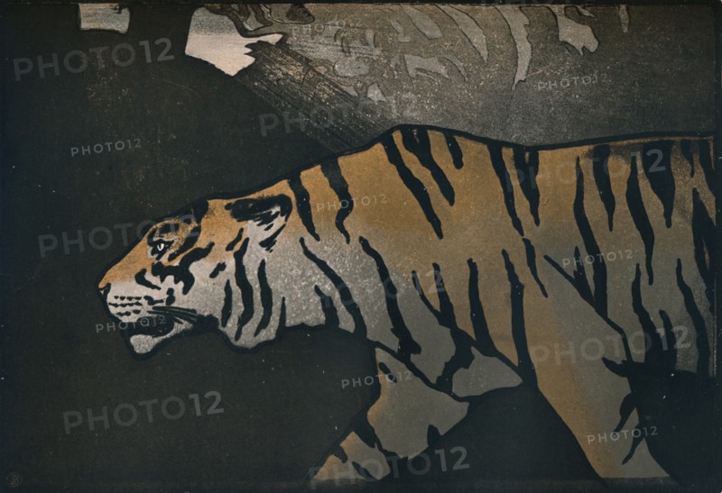 'The Tiger', c1900. Artist: John Dickson Batten.
