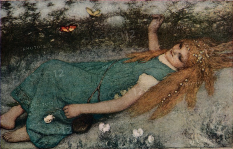 'Butterflies', c1900.  Artist: Matthias Marris.