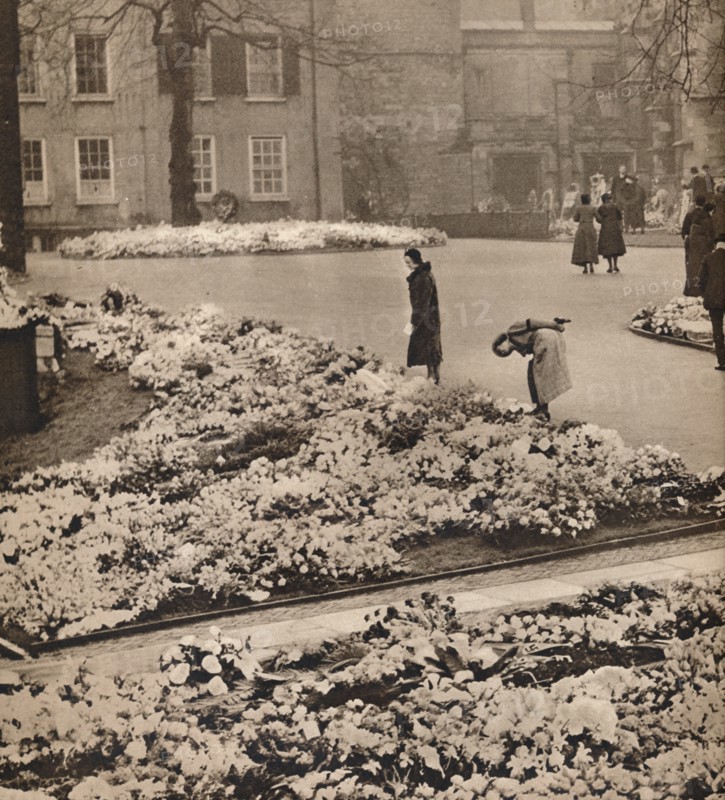 'The State Funeral of King George V at Windsor: memorial wreaths', 1936. Artist: Unknown.