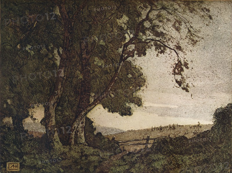 'The Drooping Ash', c1910. Artist: Alfred Hartley.