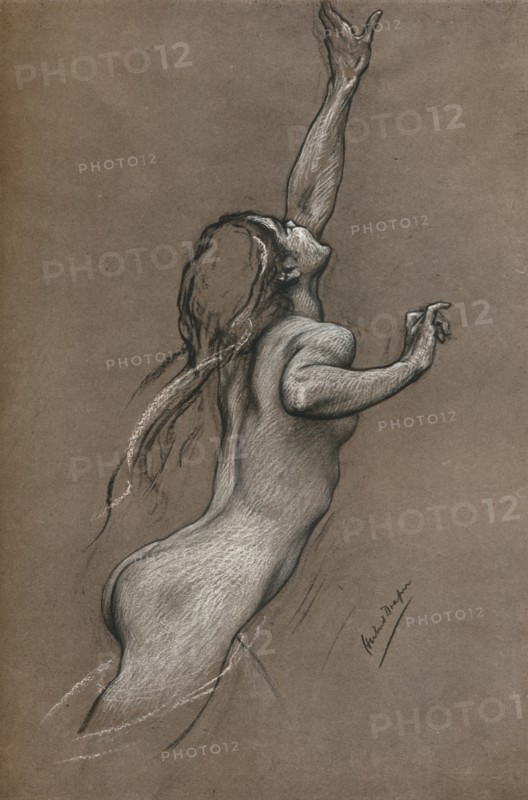'Flying Fish Study', c1910. Artist: Herbert James Draper.