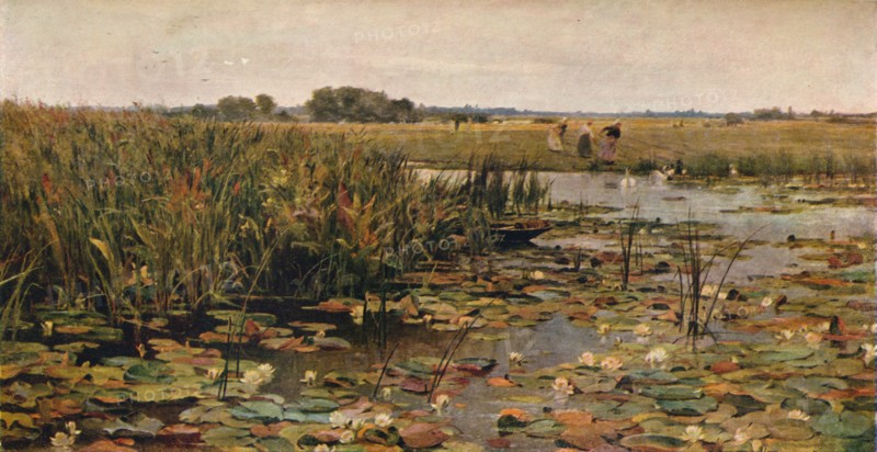 'Water Lilies', c1870. Artist: James Aumonier.