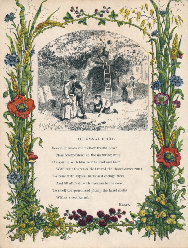 'Autumnal Fruit' by Keats, c1900. Artist: Unknown.