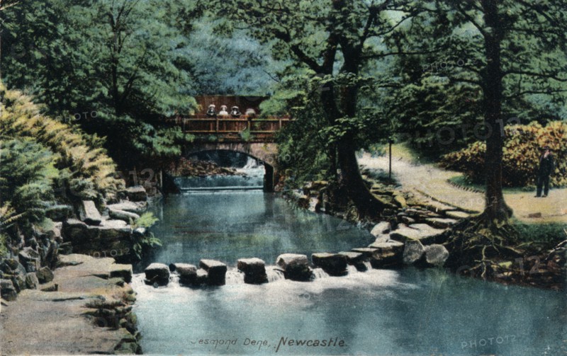 Jesmond Dene, Newcastle, c1905. Artist: Unknown.