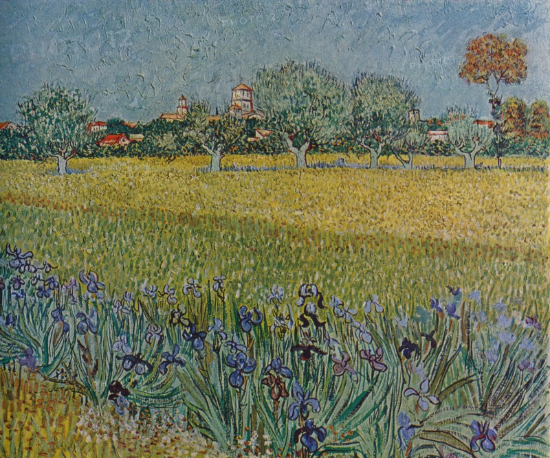 'View of Ales with Irises in Bloom', 1888. Artist: Vincent van Gogh.