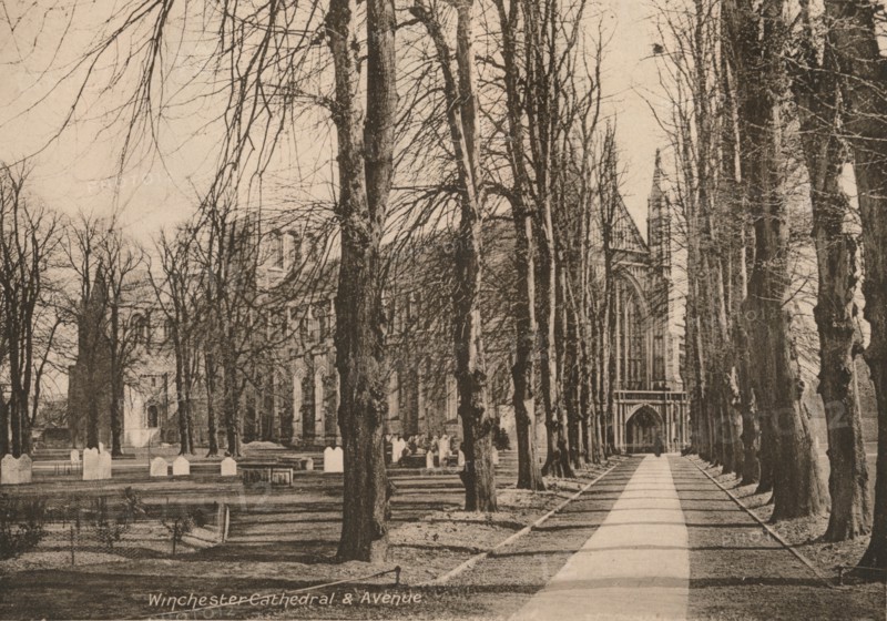 Winchester Cathedral and Avenue, Hampshire, early 20th century(?).  Artist: Unknown.