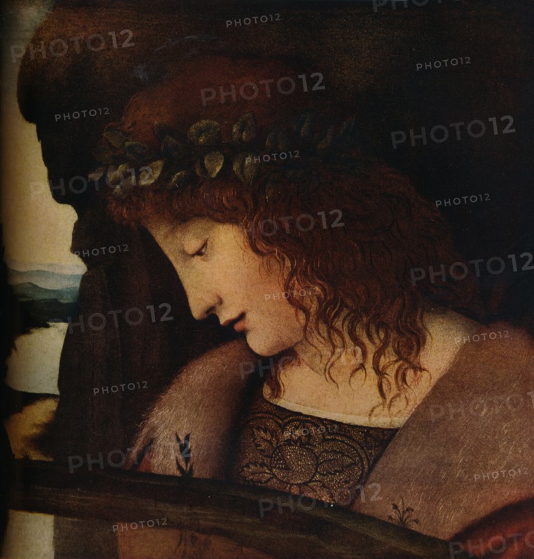 'Narcissus', c1500. Artist: Giovanni Antonio Boltraffio.