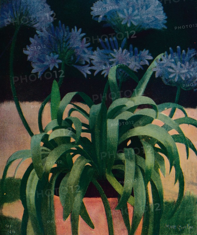 'Agapanthus', 1914, (c1932). Artist: Mark Gertler.