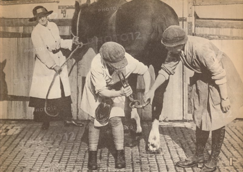 'Women as farriers in the horse hospital of a big firm of haulage contactors', c1916, (1935). Artist: Unknown.
