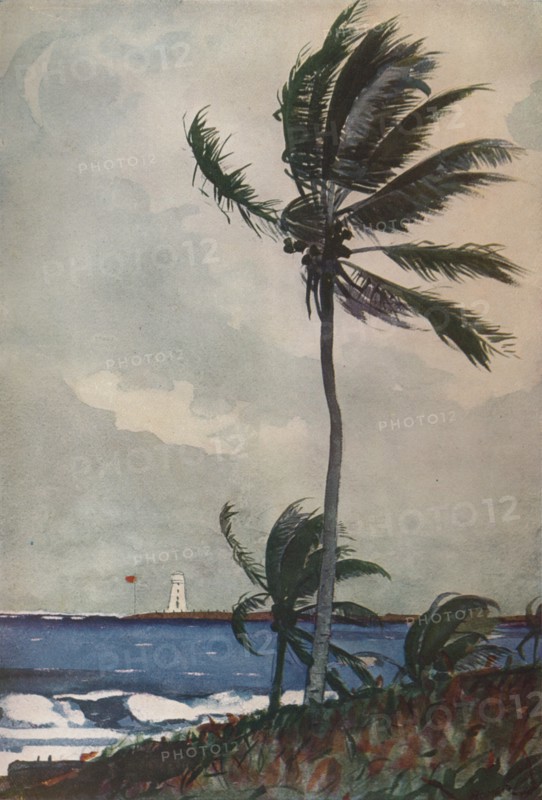 'Palm Trees, Nassau', 1898, (1932). Artist: Winslow Homer.