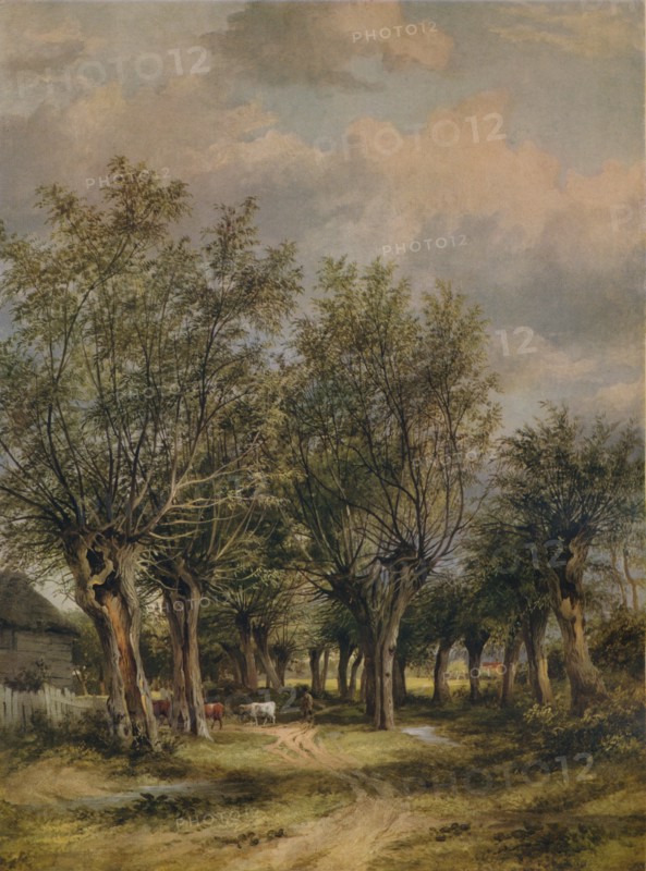 'A Lane near Norwich', c1837. Artist: James Stark.