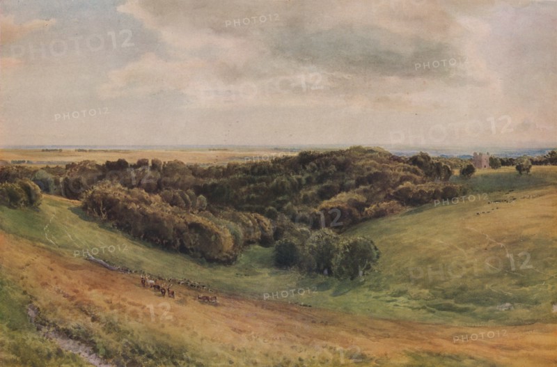 'Arundel Park', 1874. Artist: Thomas Collier.