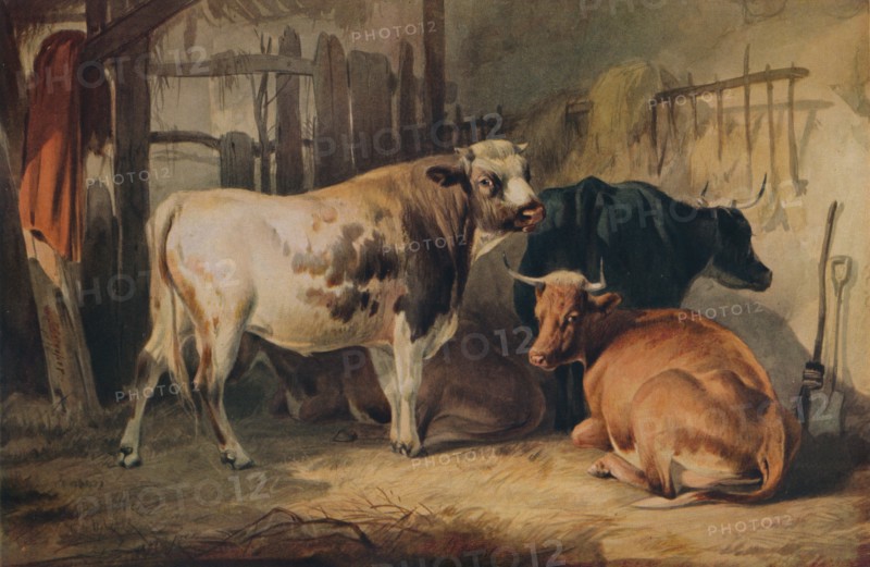 'A Bull and three Cows in a Stable', c1856. Artist: Thomas Sidney Cooper.