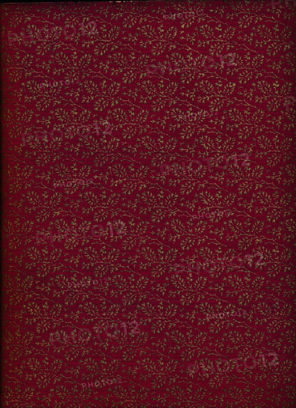 Inside cover pattern, 1901, (1901). Artist: Unknown.