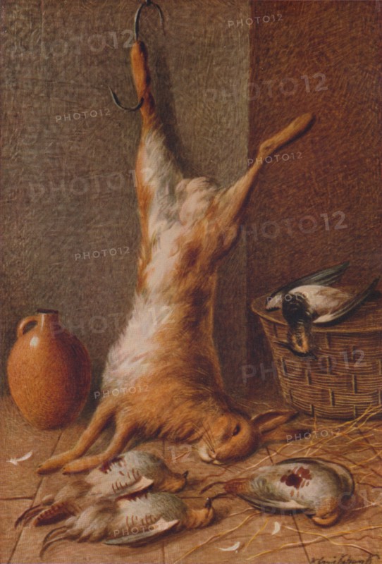 'Still Life  Hare', c1895. Artist: William Cruikshank.