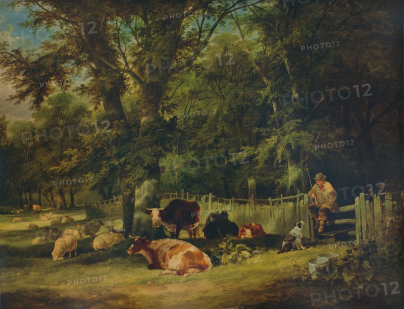 'A Shady Corner', 1840. Artist: William Shayer.