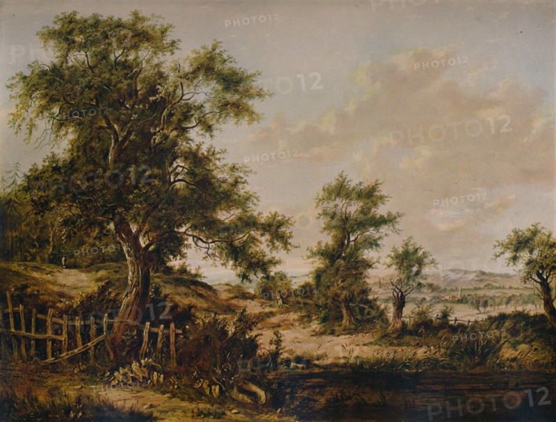 'Landscape, with Pool and Tree in foreground', 1828. Artist: Patrick Nasmyth.