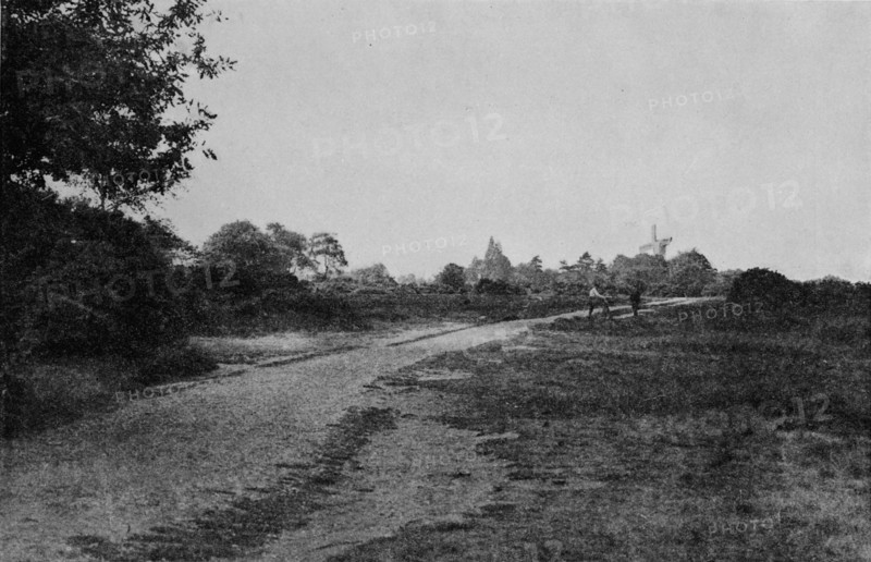 'Wimbledon Common and the Windmill', c1900, (1912). Artist: Unknown.