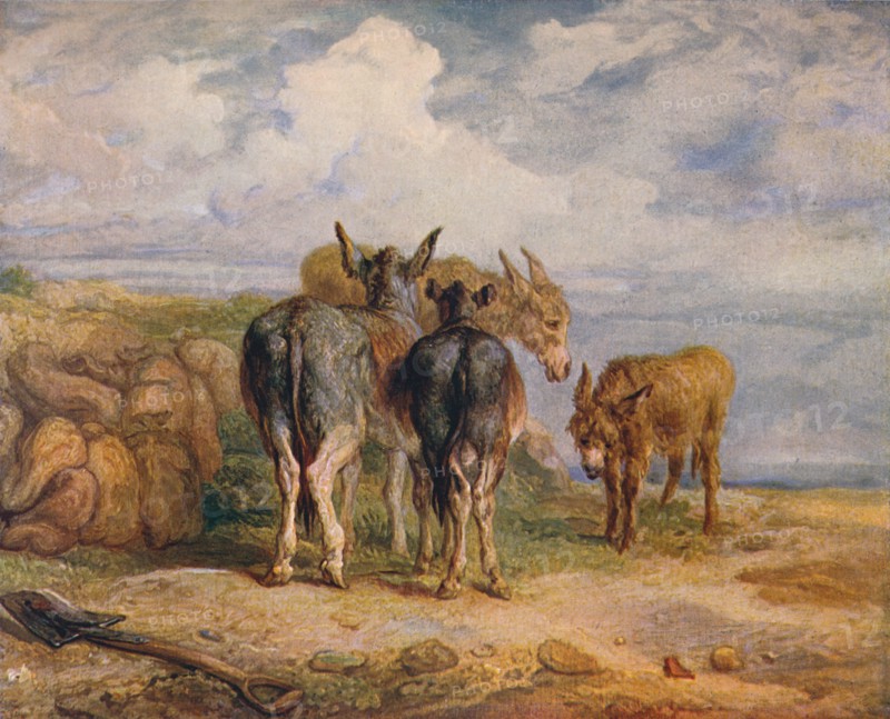 'Donkeys', c1831 (1904). Artist: James Ward.
