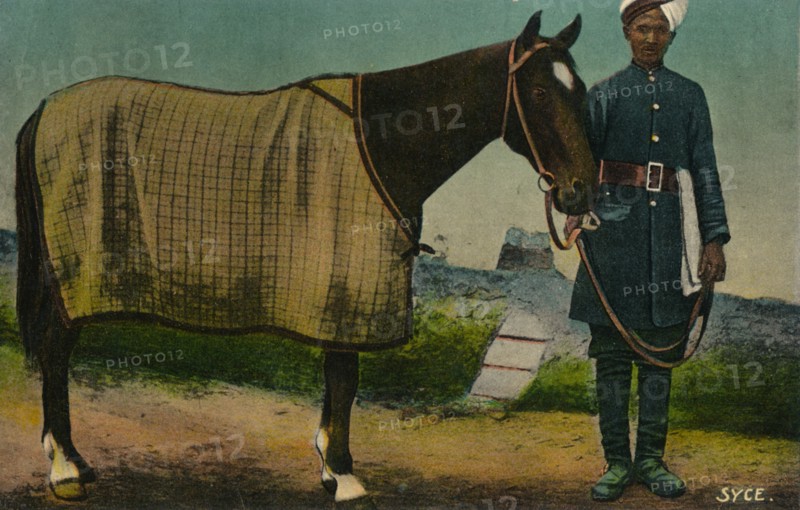 'Syce', c1910. Artist: Unknown.