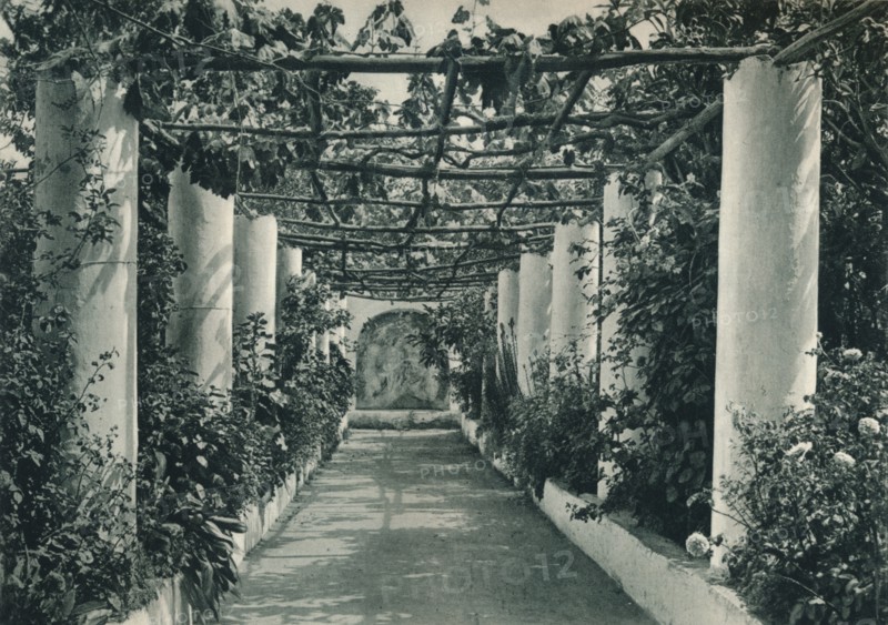 Pergola in a vineyard, Capri, Italy, 1927. Artist: Eugen Poppel.