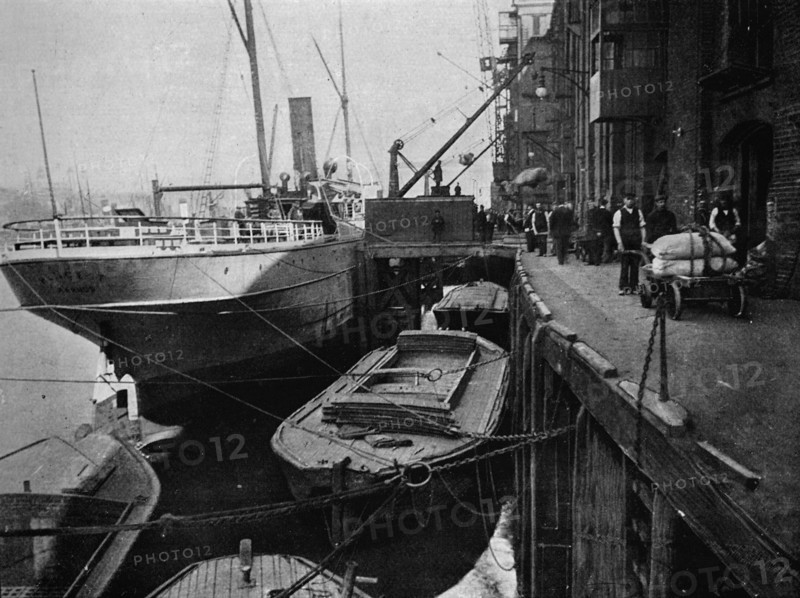 Cotton's Wharf, Tooley Street, London, c1900 (1901). Artist: Unknown.