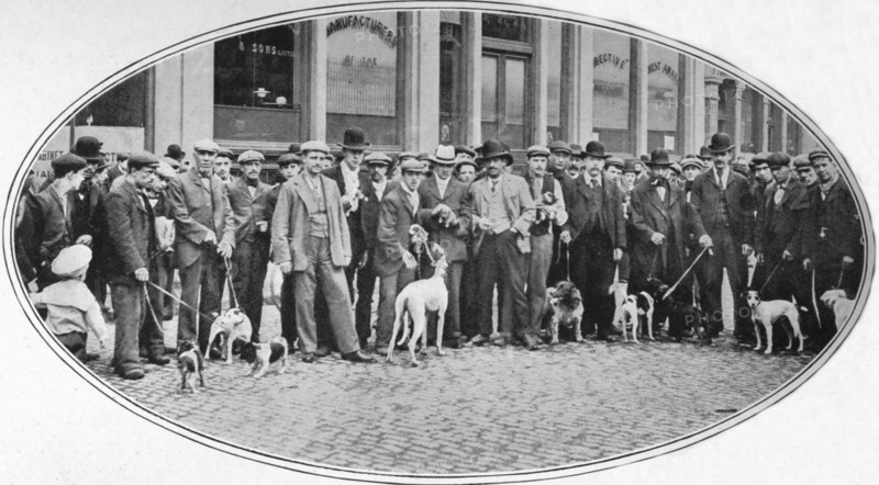 Dog sellers and buyers in the East End, London, c1900 (1901). Artist: Unknown.