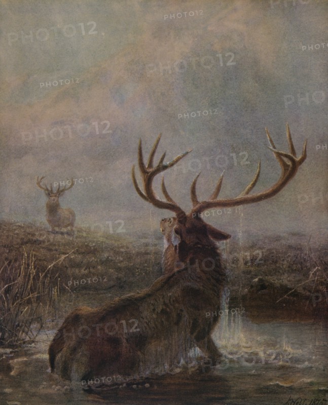 'Interrupted', 1875, (1938). Artist: Joseph Wolf.