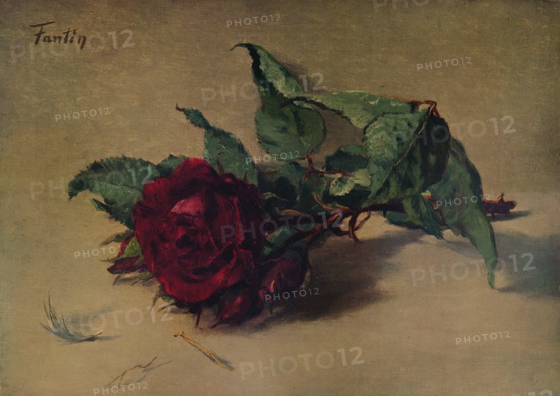 'Red Rose', c1864, (1938). Artist: Henri Fantin-Latour.