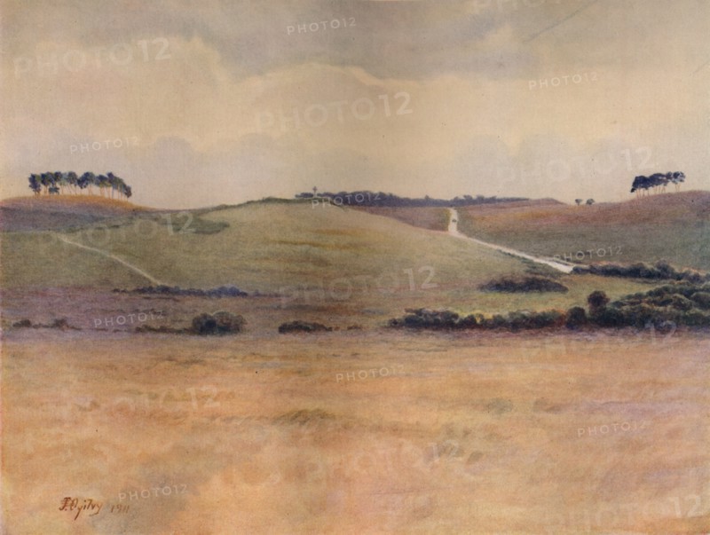 'Chobham Common', 1911, (1914). Artist: James S Ogilvy.
