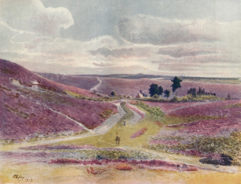'Moorland at Frensham', 1912, (1914). Artist: James S Ogilvy.