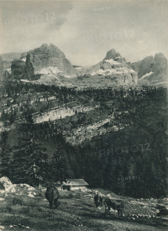 View of the Brenta Group with alpine pasture, Madonna di Campiglio, Dolomites, Italy, 1927. Artist: Eugen Poppel.
