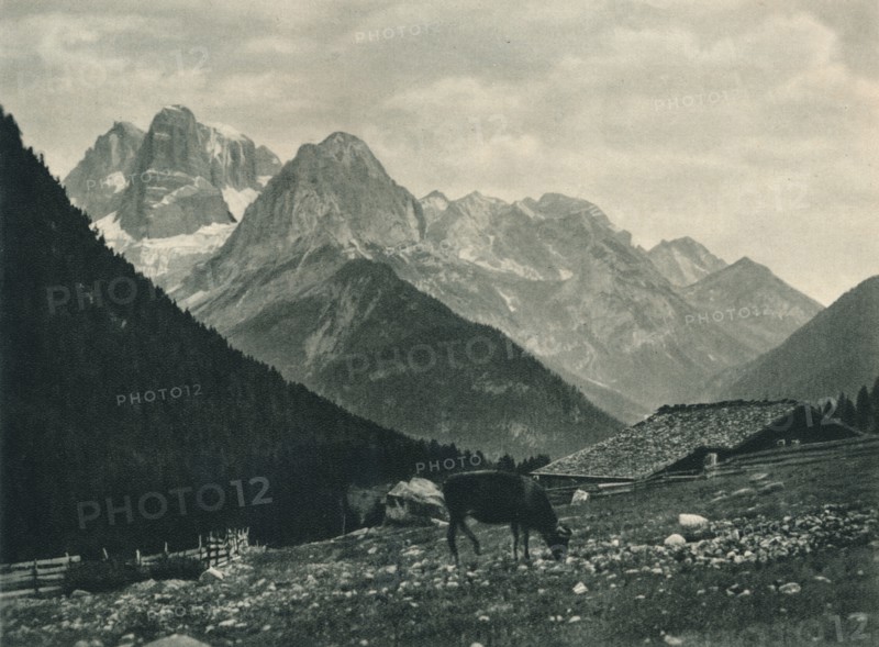 View of the Brenta Group with alpine pasture, Madonna di Campiglio, Dolomites, Italy, 1927. Artist: Eugen Poppel.