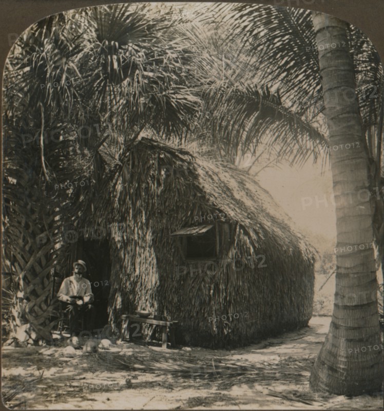 'Thatched Cottage in Cocoanut Grove, Florida, U.S.A.', c1900. Artist: Unknown.