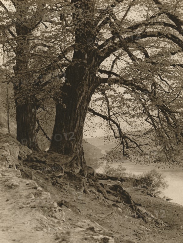 'In the Valley of the Nab', 1931. Artist: Kurt Hielscher.