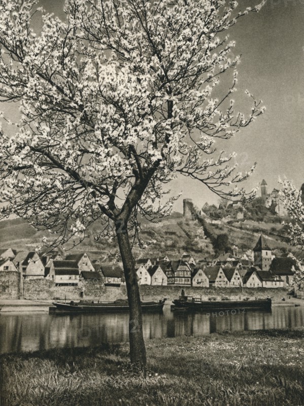 'Hirschhorn a. Neckar', 1931. Artist: Kurt Hielscher.
