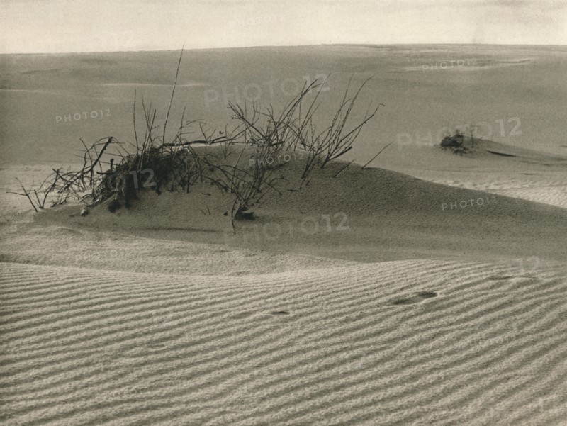 'Kurische Nehrung - Shifting dune', 1931. Artist: Kurt Hielscher.