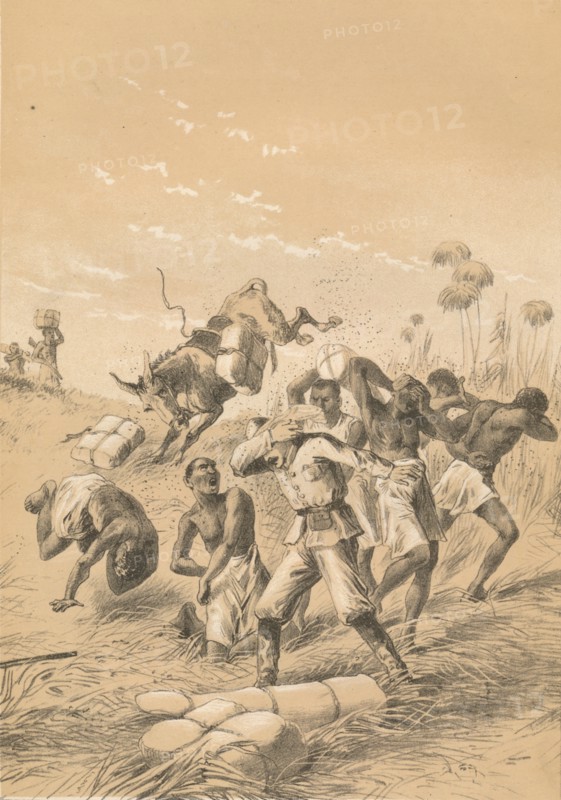 'Travelers Stung By Bees', c1880. Artist: Unknown.