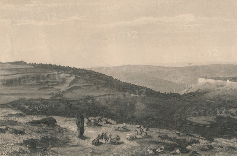 'Mount of Olives & Valley of Jehoshaphat', 1871. Artist: D Mitchell.