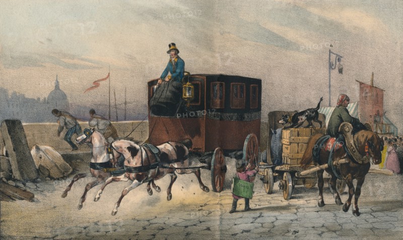 'Bearnaise', c19th century. Artist: Charles Etienne Pierre Motte.