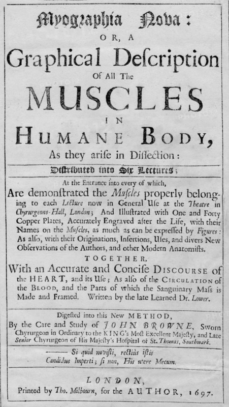 'Myographia Nova: or a Graphical Description of all the Muscles in Humane Body, As they are in Disse Artist: Unknown.
